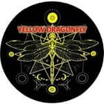 03-yellow-dragonfly